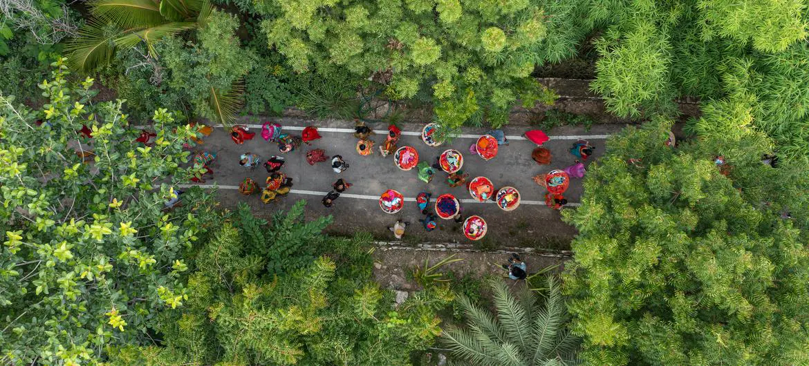 A procession of mothers carry their newborn daughters to plant trees celebrating their birth. A procession of mothers carry their newborn daughters to plant trees celebrating their birth.