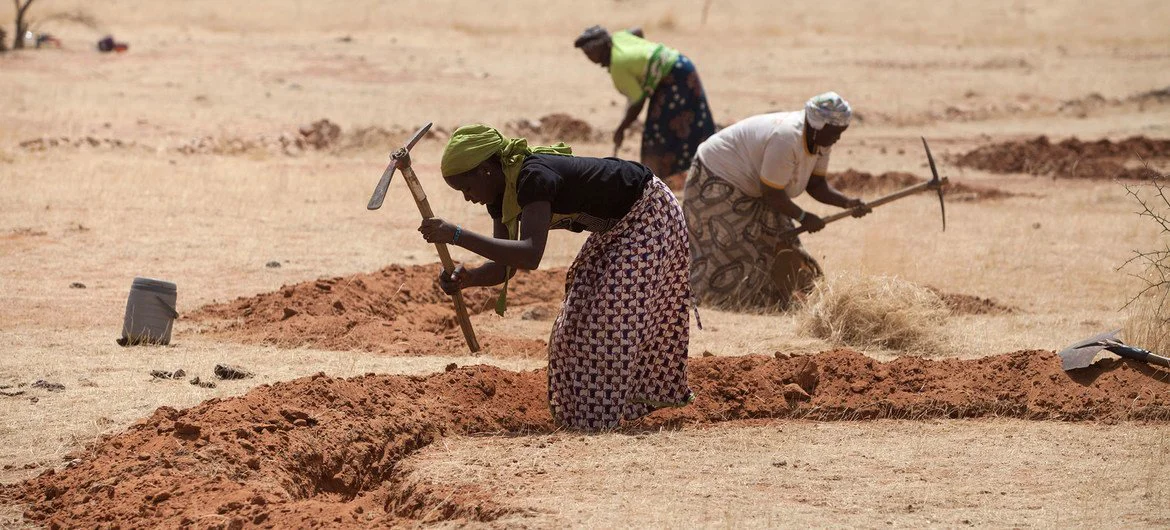 Women in Niger prepare fields for the rainy season as part of an anti-desertification initiative. Women in Niger prepare fields for the rainy season as part of an anti-desertification initiative.