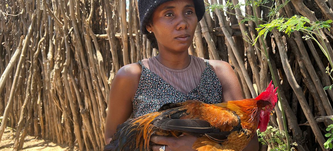 Lucette Vognentseva holds one of the chickens bred from a Tanzanian egg. Lucette Vognentseva holds one of the chickens bred from a Tanzanian egg.