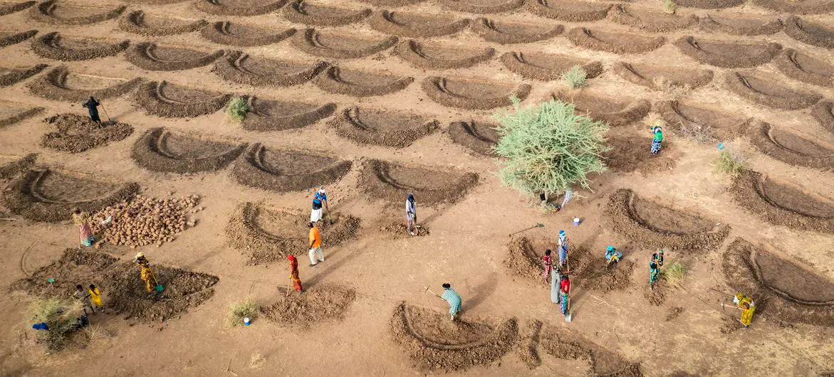 In Senegal, new farming approaches are being introduced to counter the impacts of climate change. In Senegal, new farming approaches are being introduced to counter the impacts of climate change.
