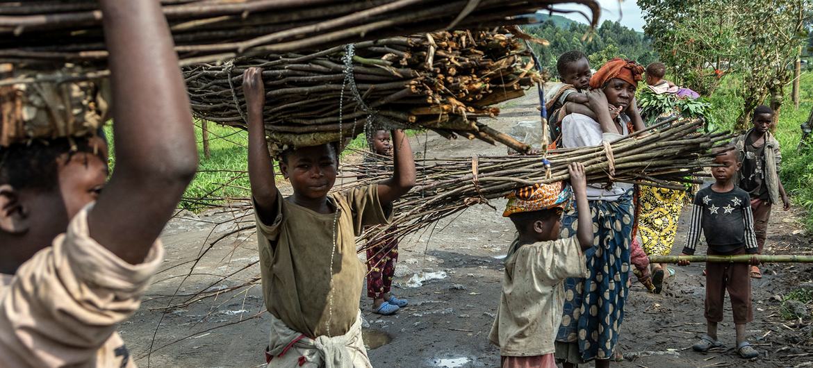 Children carry bundles of sticks along the road in North Kivu province in the Democratic Republic of the Congo. Children carry bundles of sticks along the road in North Kivu province in the Democratic Republic of the Congo.