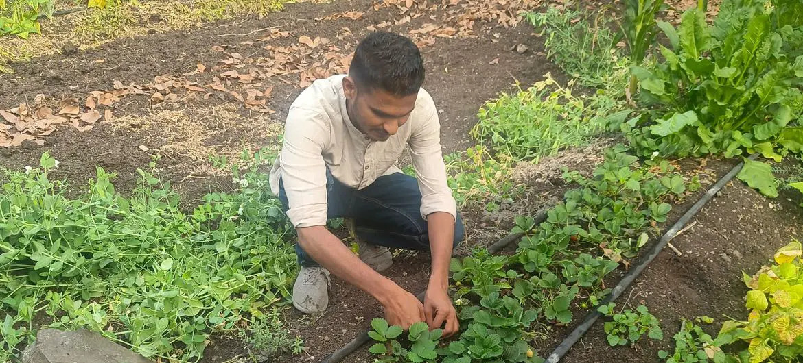 Siddhesh Sakore tends plants in a field in Pune, India. Siddhesh Sakore tends plants in a field in Pune, India.