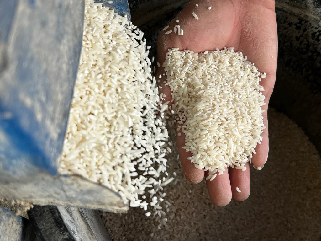 Rice is milled by the Liton, Kibales, Magatos Irrigators Association. Rice is milled by the Liton, Kibales, Magatos Irrigators Association.