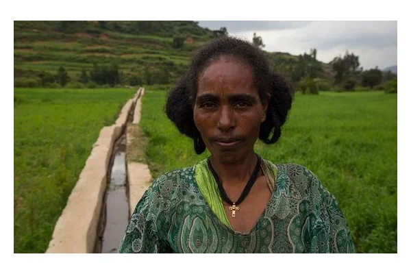 From the Field: Working with nature to transform lives | UN News