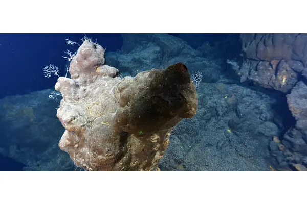 Deep dive into the International Seabed Authority: Why it matters now | UN News