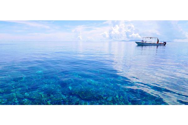 Teaching key to better ocean protection, says UNESCO chief | UN News