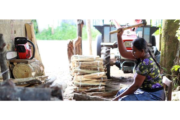 Sri Lanka: UN appeals for $47 million for life