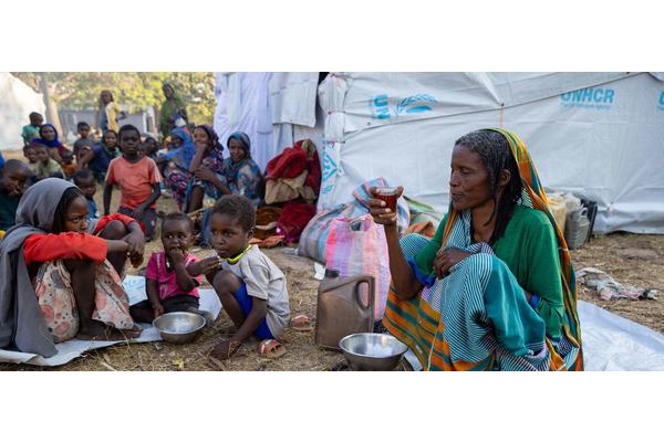 Sudan war: Any peace deal must respect national sovereignty, UN envoy says | UN News