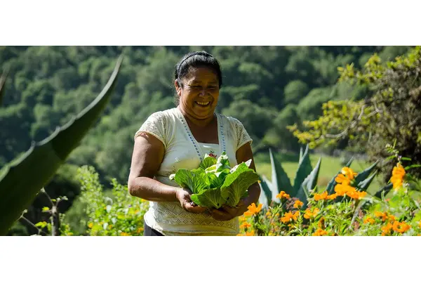 Women building a sustainable future: The Mexican violinist who saved the Sierra Gorda | UN News