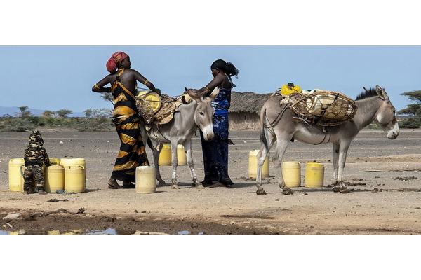 Horn of Africa: Around 60 million in urgent humanitarian need | UN News