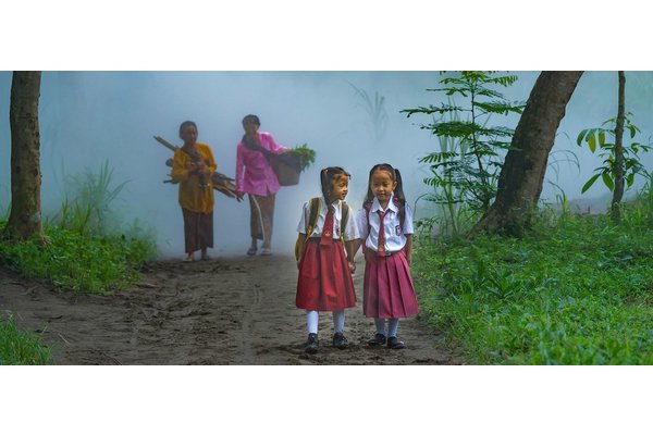 UN Forum on Forests: 5 things you need to know | UN News