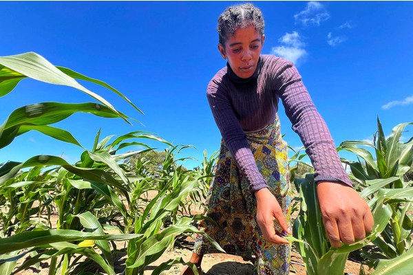 First Person: Water key to cultivating financial independence in southern Madagascar | UN News