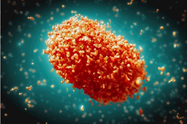 IHR Emergency Committee regarding the multi-country outbreak of monkeypox