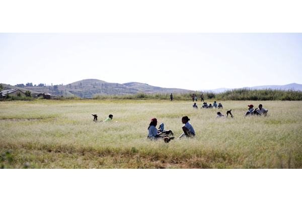 Will developing countries benefit from the renewables boom? | | UN News