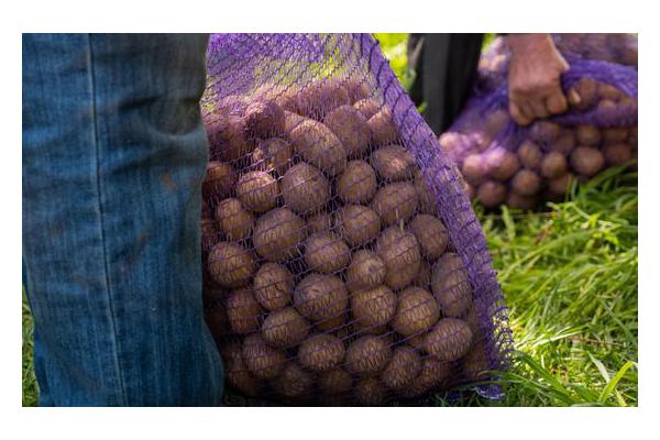 Sri Lanka's misery should be warning to us all on global food, fuel and finance crisis: UNDP | UN News