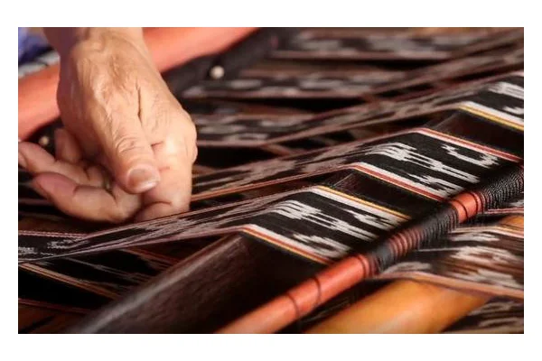 From the Field: Interweaving ecosystems in Indonesia | UN News