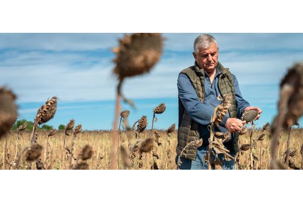 UN chief warmly welcomes Russia decision to end suspension from Ukraine grain deal | UN News