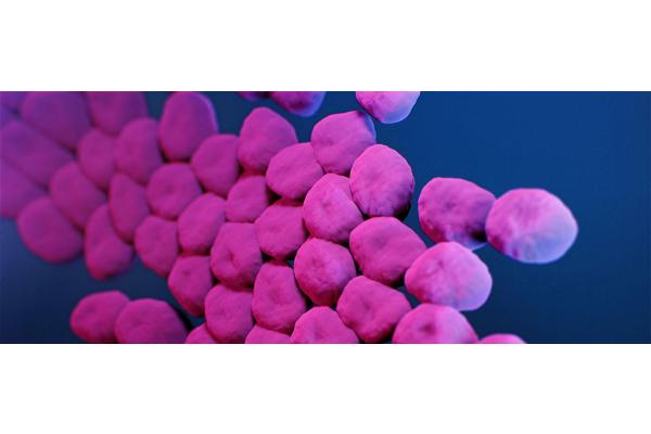 Invisible killer: What is antimicrobial resistance? | UN News