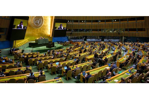 UN General Assembly boosts global fight against illegal trade in cultural artifacts | UN News