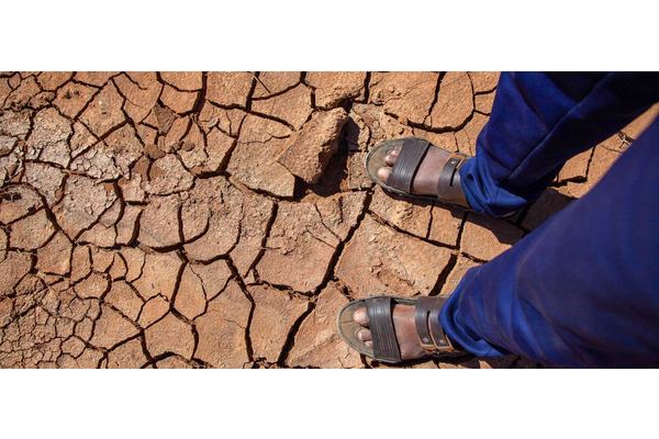 Somalia faces escalating crisis amid drought, conflict and price hikes | UN News