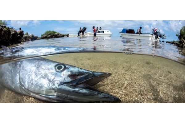 ‘No Ocean Declaration without small islands’: Delegates push for inclusion as UN summit nears end | UN News
