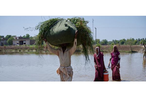 WMO: Global stocktake of water resources needed | UN News