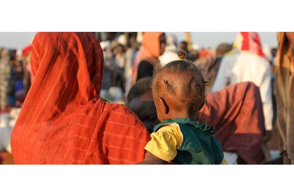 Sudan’s El Fasher siege: UN humanitarians killed as refugee crisis intensifies | UN News