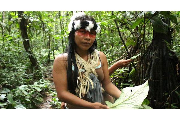 Indigenous Day celebrates ‘guardians of the environment’ | UN News