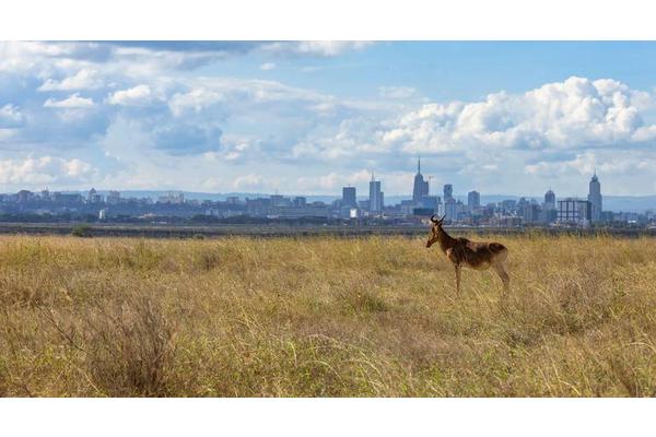 Global biodiversity agreement mobilises $200 billion boost for nature | UN News