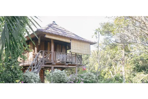 First Person: Surviving Bali’s COVID tourism crash | UN News