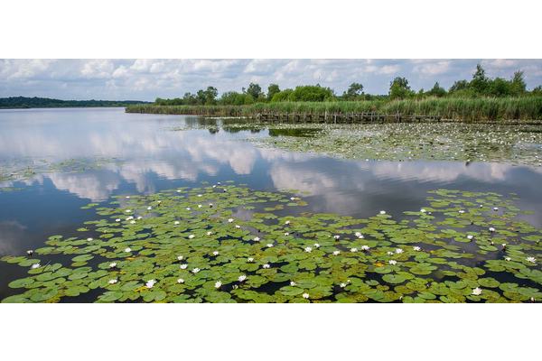 Eleven new biosphere reserves added to global list | UN News