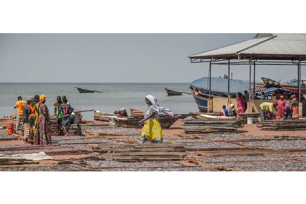 Sustainable blue economy vital for small countries and coastal populations | UN News
