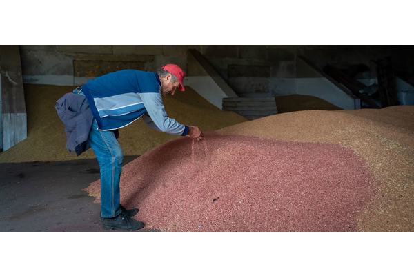 UN chief welcomes renewal of Black Sea Grain Initiative | UN News