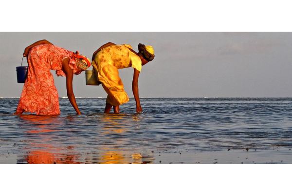 UN agencies head up new $115 million push for cleaner, healthier oceans | UN News