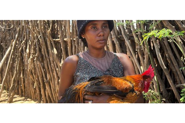 First Person: ‘My eggs are too expensive to eat’ (and that’s a good thing) | UN News