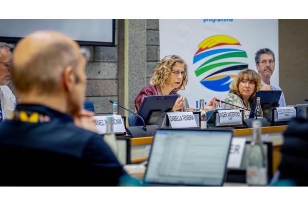 What is the UN Environment Assembly and why does it matter? | UN News