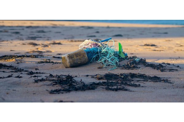 UN Ocean Conference ends with call for greater global commitment to address dire state of the ocean | UN News