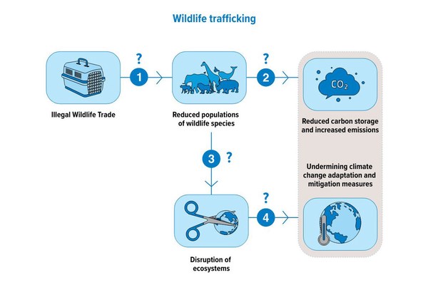 ‘Untold harm to nature’ from wildlife trafficking, warns UN crime agency | UN News