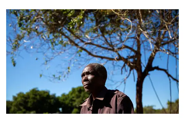 From fighting to farming: Supporting peacebuilding in Mozambique | UN News