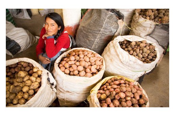 World food import bill to reach record high in 2021  | UN News