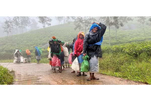 Sri Lanka: Cost