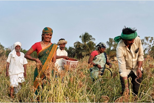 Indigenous Peoples Day highlights AI’s risks and opportunities | UN News