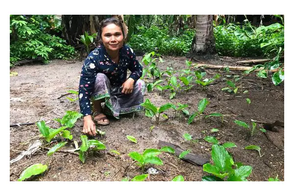 From the Field: 'Bioprospecting'; Cambodia’s sustainable gold rush | UN News