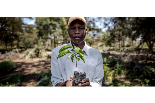 Biodiversity: What is it and how can we protect it? | UN News