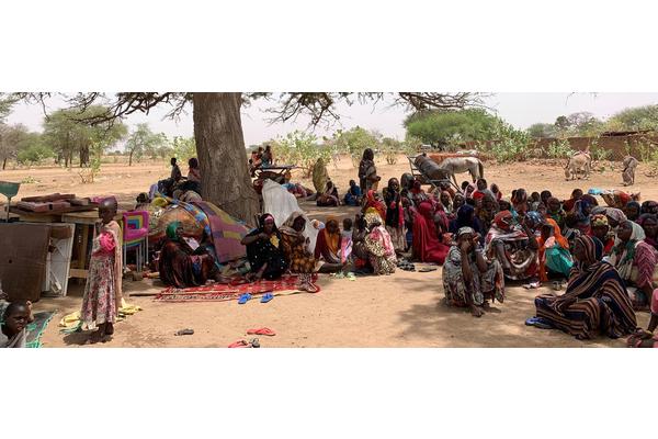 Midwives scramble to ensure safe deliveries amid violence in Sudan | UN News