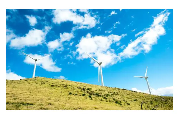 US Supreme Court ruling on environmental protection ‘a setback in our fight against climate change’ | UN News