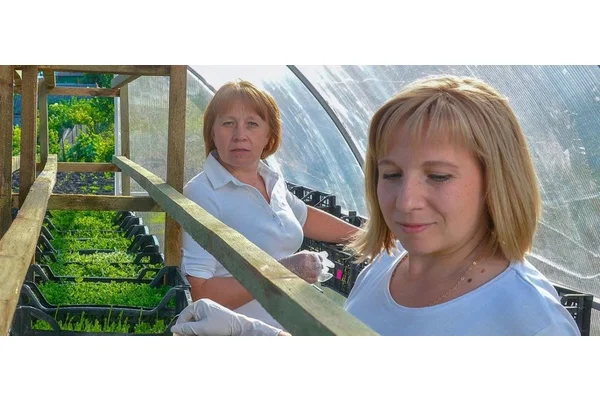 Women building a sustainable future: green business begins to sprout in Ukraine | UN News