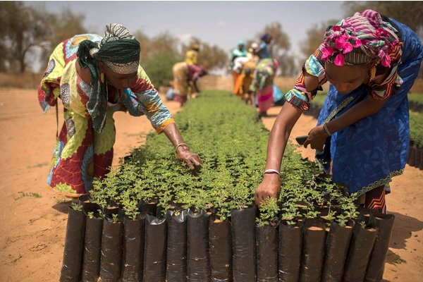 Stop ‘vandalising’ Earth and help the planet thrive, UN chief urges | UN News