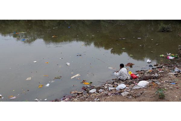 Crimes against nature: UN agency puts environmental legislation under scrutiny | UN News