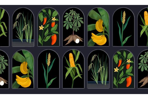 The Nature of Strength: Creating a More Secure Future with Agricultural Biodiversity
